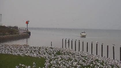 huron ohio webcam|Lake Erie Webcams 